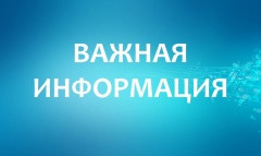 Индивидуальным предпринимателям